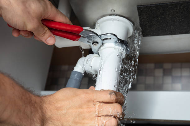 Best Professional water damage repair  in Picayune, MS