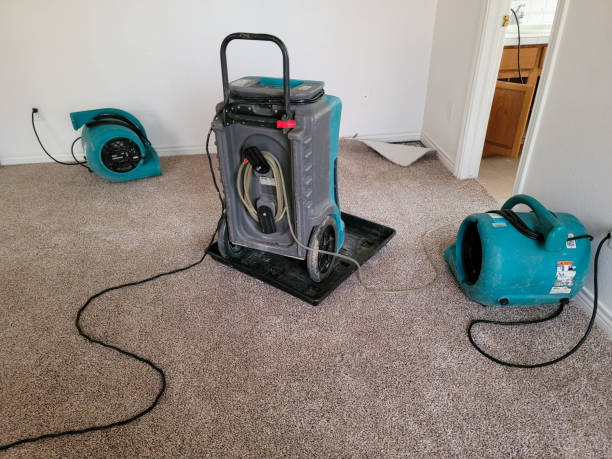 Best Carpet water damage restoration  in Picayune, MS