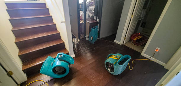 Best 24/7 water damage repair  in Picayune, MS