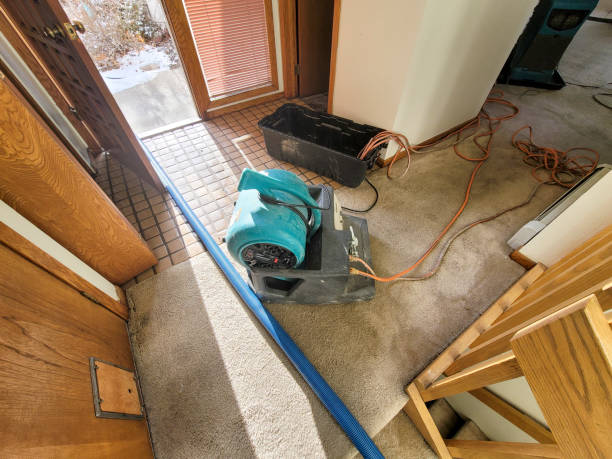 Best Water damage restoration near me  in Picayune, MS