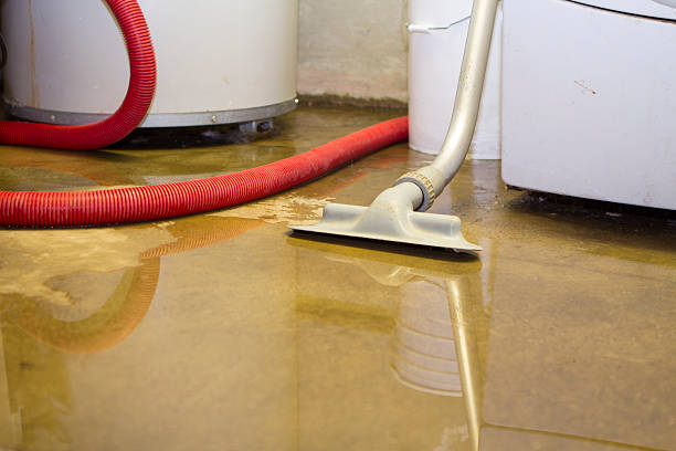 Best 24/7 water damage repair  in Picayune, MS