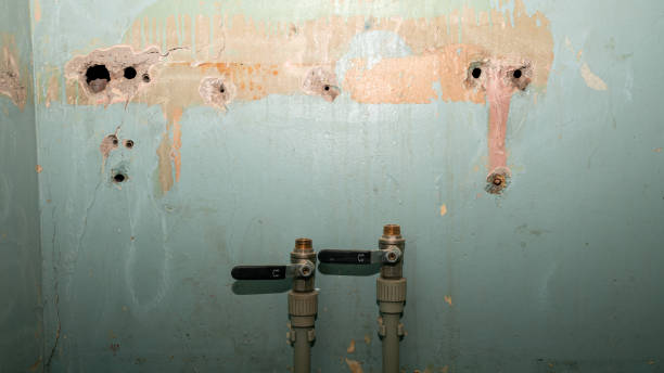 24/7 water damage repair in Picayune, MS