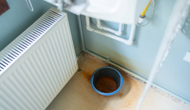 Best Flooded house restoration  in Picayune, MS
