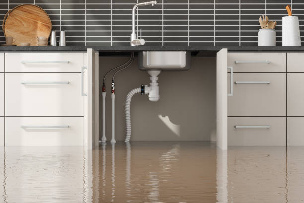Best Water damage contractors near me  in Picayune, MS