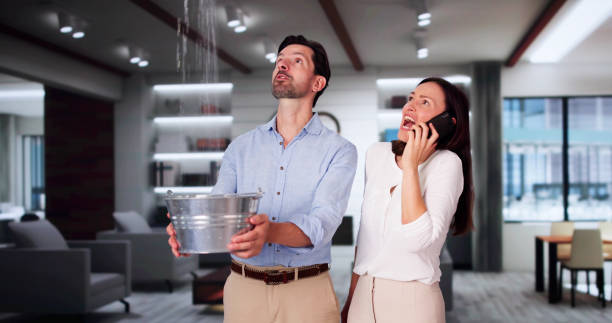 Best Flood damage cleanup  in Picayune, MS